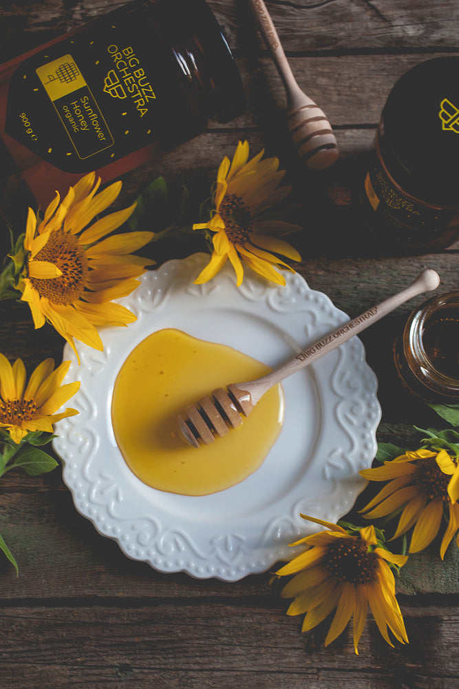 How Does Honey Affect Your Body and Enrich Your Health?