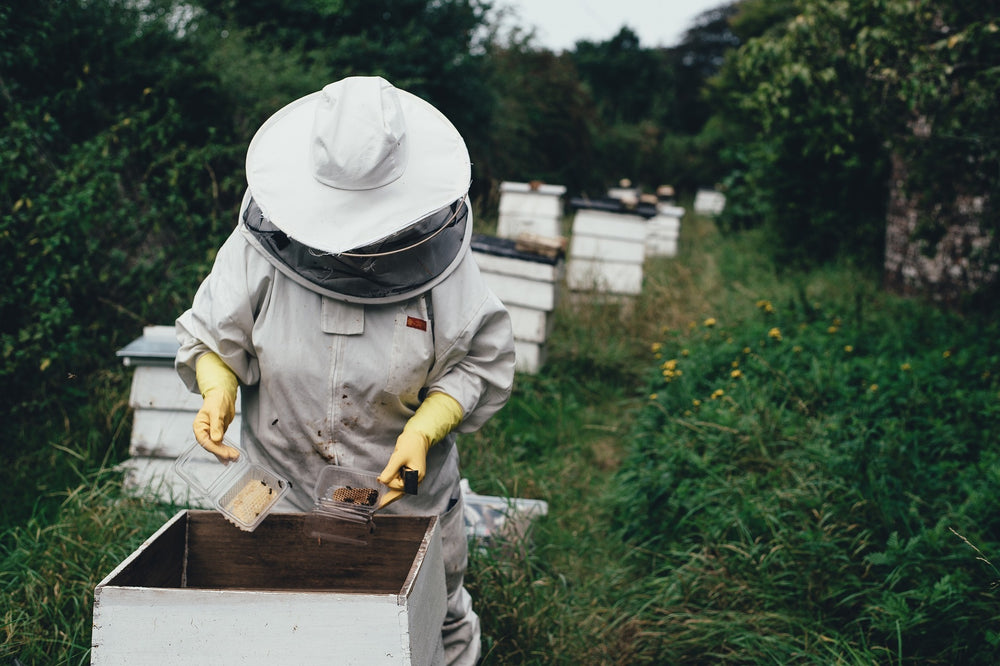 3 Myths about Honey