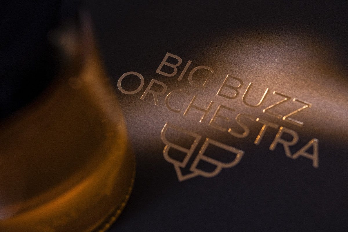 
                  
                    Big Buzz Orchestra Honey Natural Acacia Honey - Big Buzz Solo
                  
                