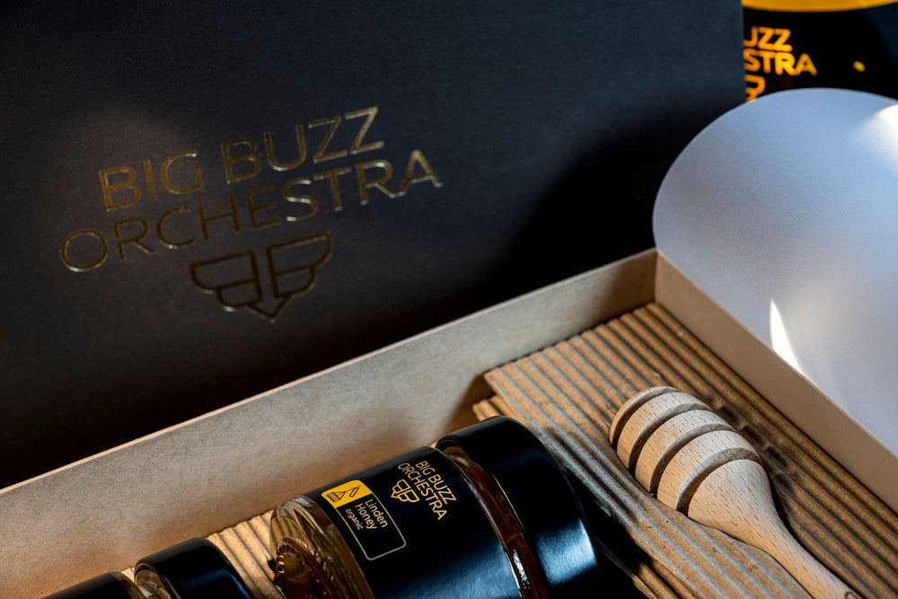 
                  
                    Big Buzz Orchestra Honey Natural Acacia Honey - Big Buzz Solo
                  
                