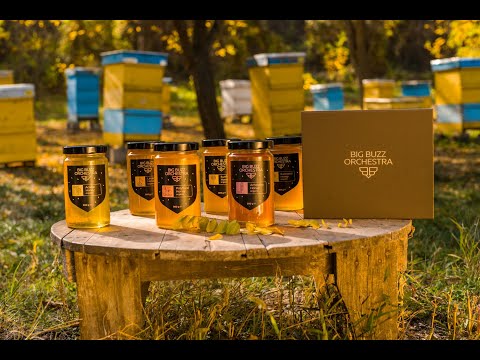 
                  
                    Заредете и пуснете видео във визуализатора на галерия, Big Buzz Orchestra Acacia Organic Honey. Tasty Acacia Honey from Big Buzz Orchestra. Natural Honey from Bulgaria.
                  
                